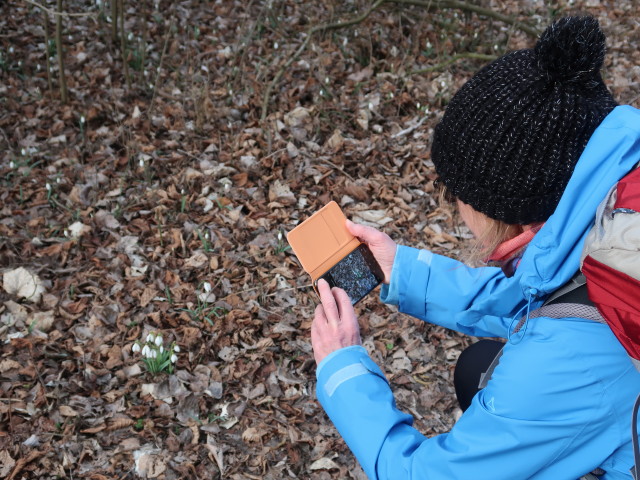 Mama zwischen Marchfelddamm und Fadenbach