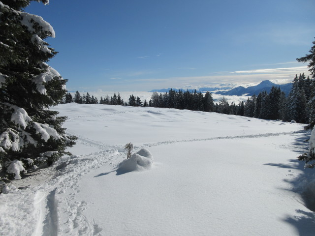zwischen Kaserin und Knappenhütte