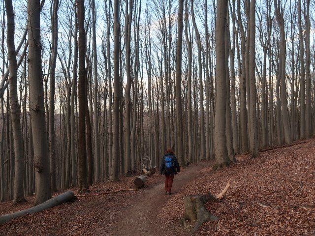 Brigitte zwischen Rudolfshöhe und Schöffelstein
