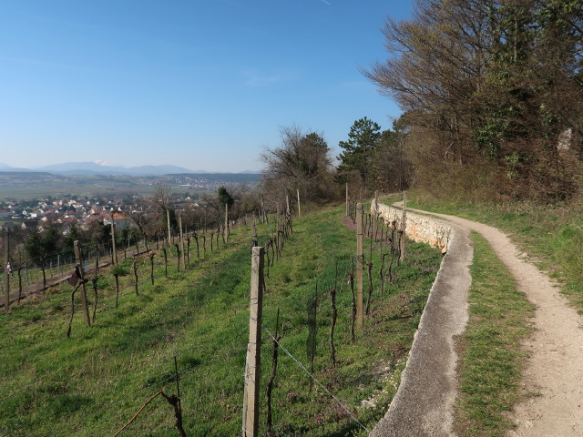 zwischen Bad Vöslau und Vöslauer Hütte