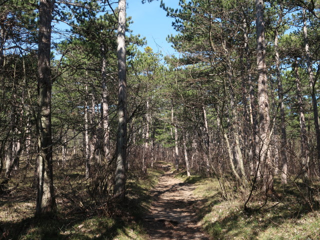 zwischen Bad Vöslau und Vöslauer Hütte