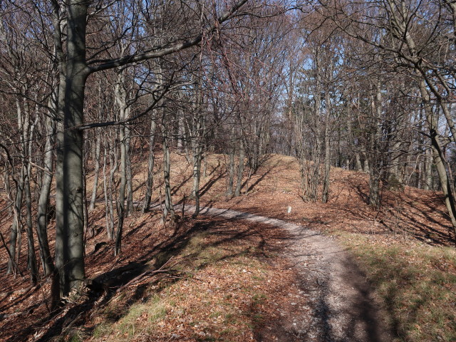 zwischen Manhartsberg und Brennersteig