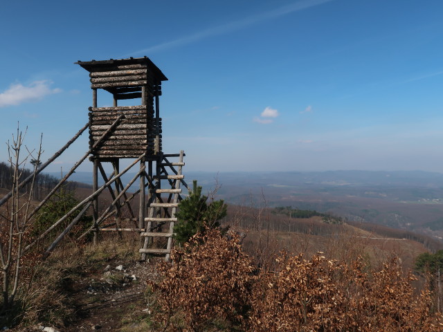 zwischen Hoher Lindkogel und Sooßer Lindkogel