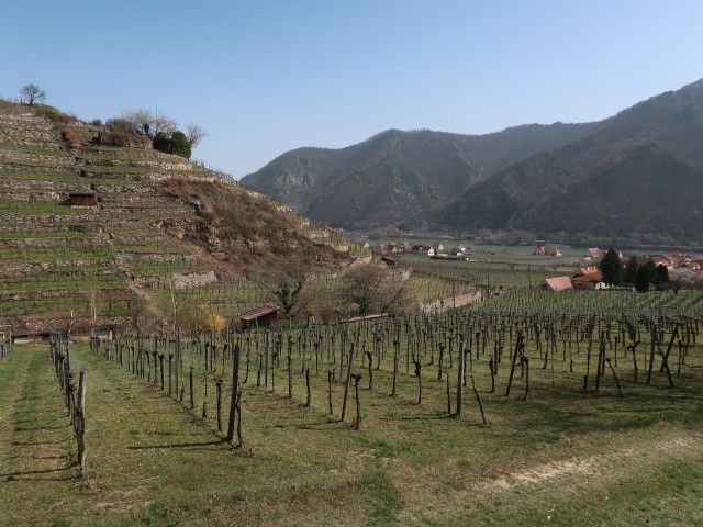 zwischen Wösendorf in der Wachau und Mittereck