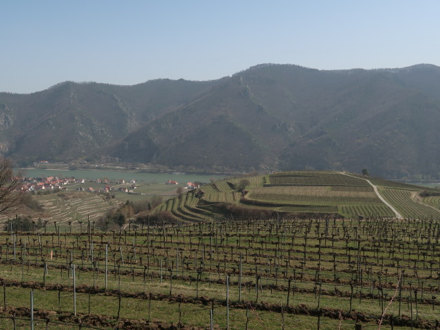 zwischen Wösendorf in der Wachau und Mittereck