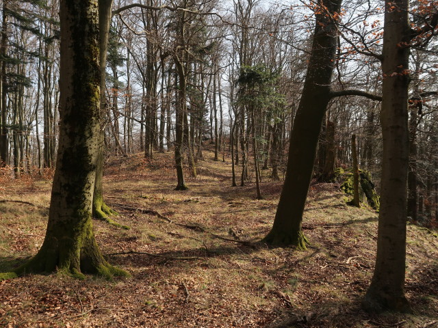 zwischen Huhnberg und Atzberg