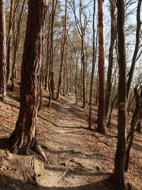 zwischen Atzberg und St. Michael