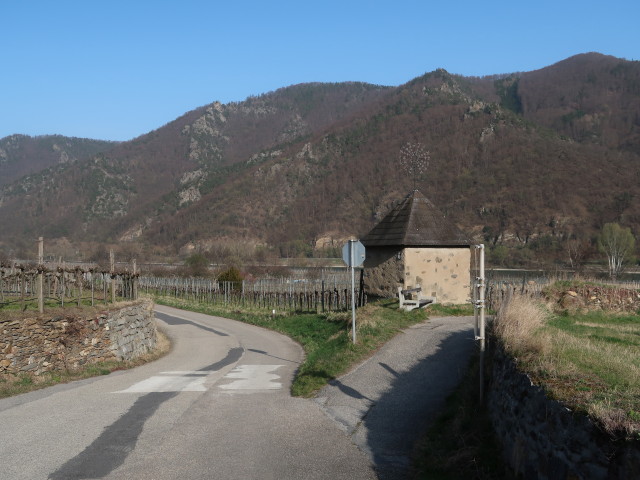 zwischen St. Michael und Wösendorf in der Wachau