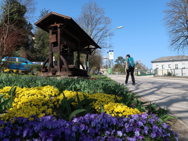 Sabine in der Leopoldstraße in Klosterneuburg