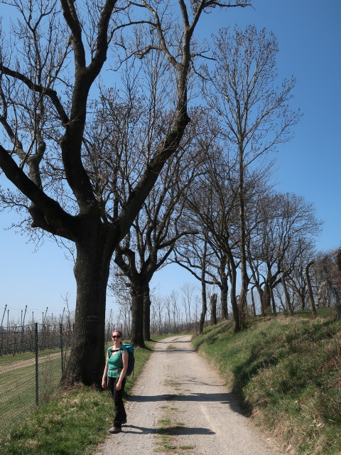 Sabine zwischen Haschhof und Hohenauer Wiese