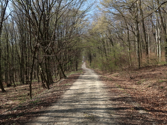 zwischen Haschhof und Hohenauer Wiese