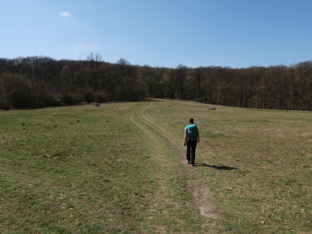 Sabine auf der Hohenauer Wiese