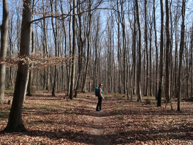 Sabine zwischen Taferlberg und Weidlingbach