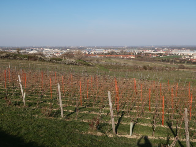 neben dem 1. Wiener Wasserleitungsweg zwischen Guntramsdorf und Mödling
