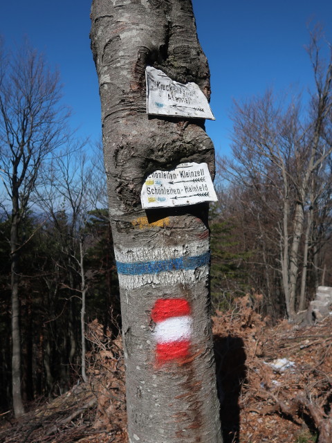 zwischen Oberkirchenbauer und Kirchberg