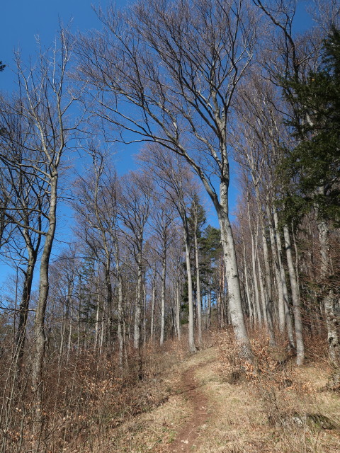zwischen Kirchberg und Schönleiten
