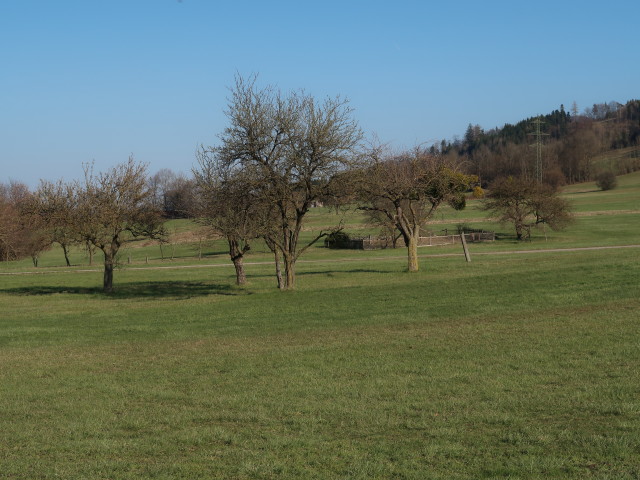 bei St. Veit an der Gölsen
