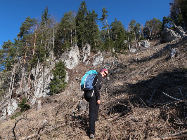 Sabine zwischen Raingraben und Wasserstein