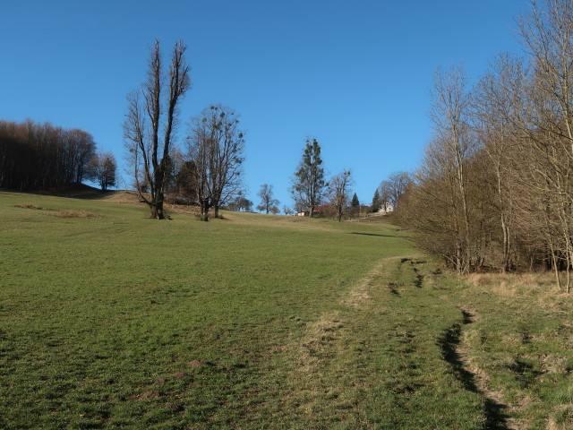 zwischen Furth an der Triesting und Amöd