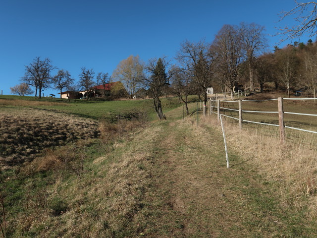 zwischen Furth an der Triesting und Amöd