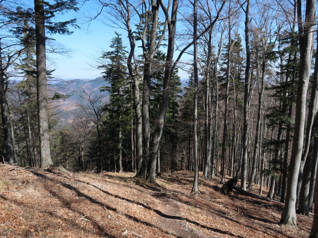 zwischen Atzsattel und Geißruck