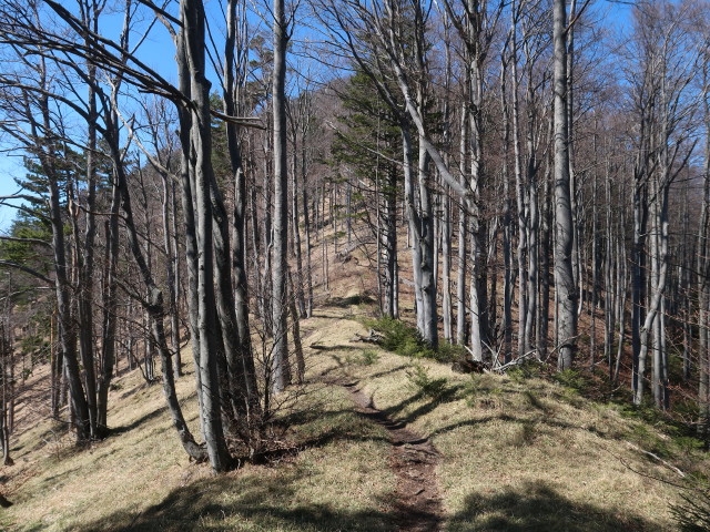 zwischen Almeskogel und Kieneck