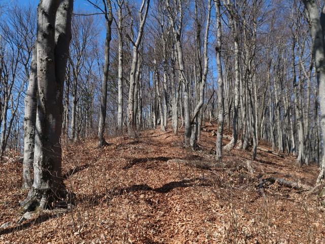 zwischen Kieneck und Reingupf