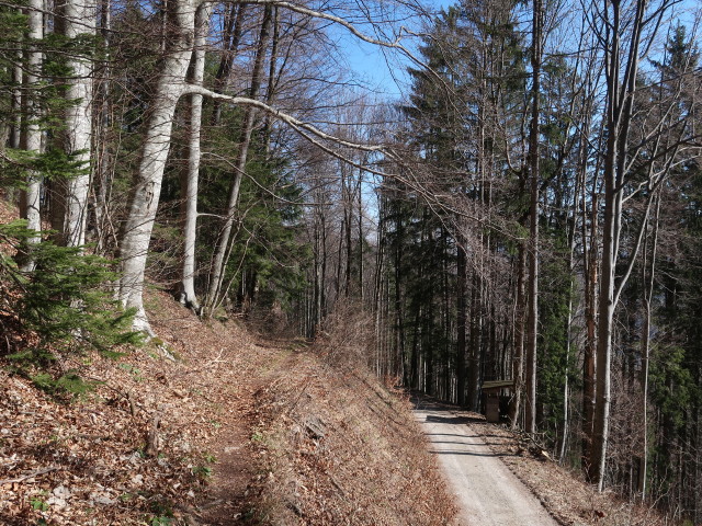 zwischen Solleneck und Weißenbachalm