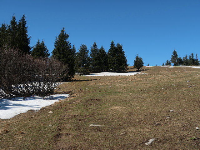 zwischen Kleinzeller Hinteralm und Reisalpe