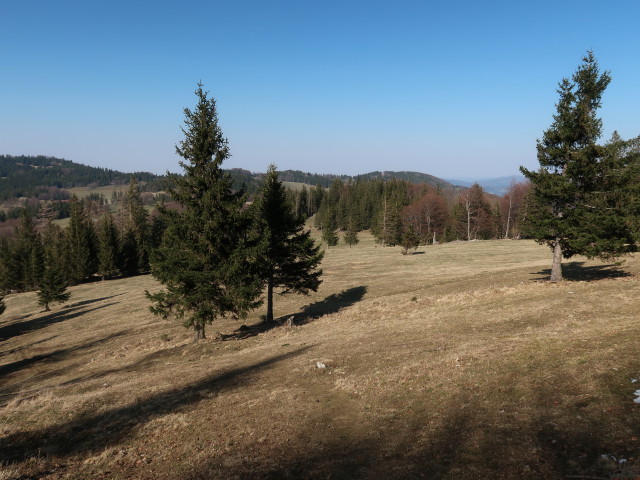 zwischen Hochstaff und Ebenwald