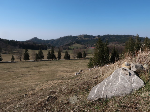 Ebenwald, 1.020 m