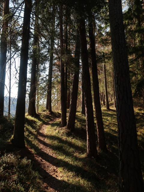 zwischen Türnitz und Schauerkogel