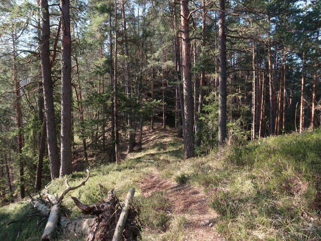 zwischen Türnitz und Schauerkogel