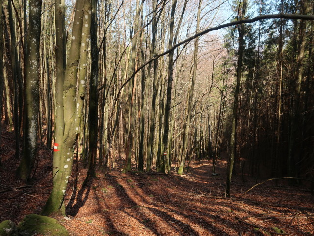 zwischen Schauerkogel und Geierstein