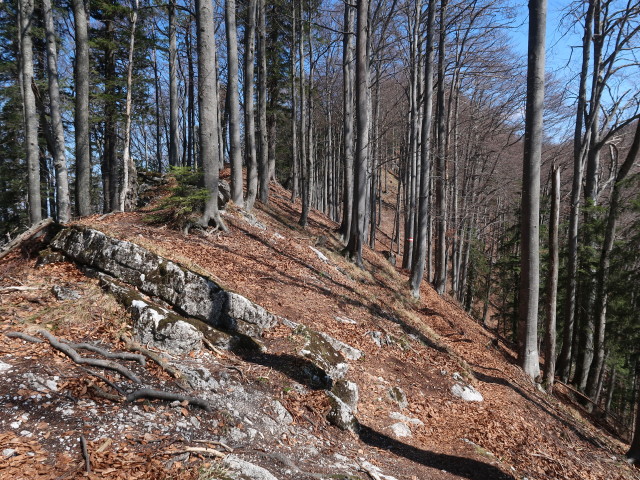 zwischen Geierstein und Türnitzer Höger
