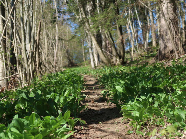 zwischen Am Berg und Karnerhofspitze