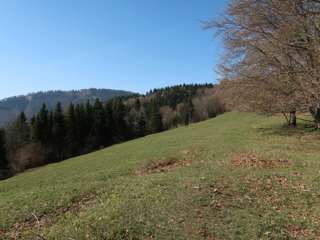 zwischen Am Berg und Karnerhofspitze