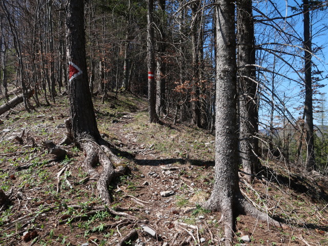 zwischen Österleinbrunnhütte und Tirolerkogel