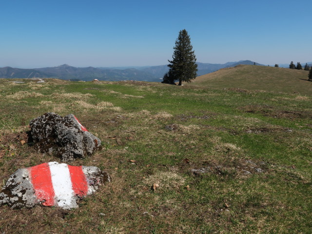 zwischen Österleinbrunnhütte und Tirolerkogel