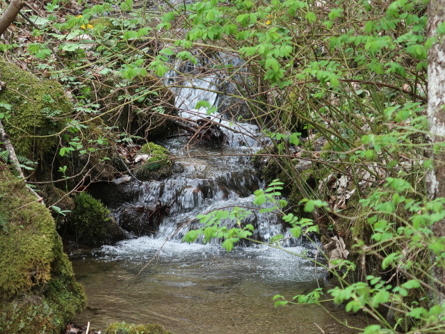 zwischen Öhlerschutzhaus und Zinsensteiner