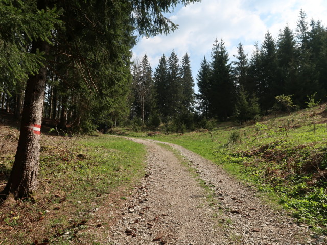 zwischen Hochschlag und Turnhöhe
