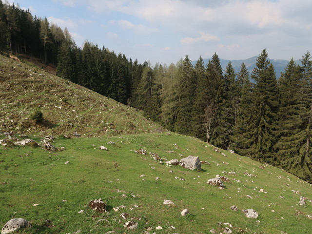zwischen Hochschlag und Turnhöhe
