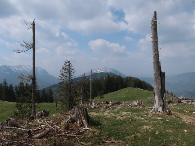 zwischen Hochschlag und Turnhöhe