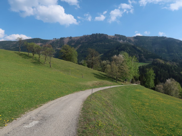 zwischen Sattel und Grenzberg