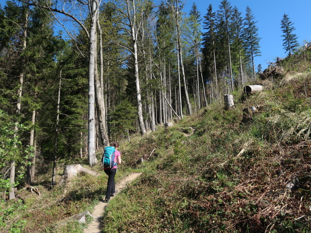 Sabine zwischen Tießenbachtal und Vorderer Salmhütte