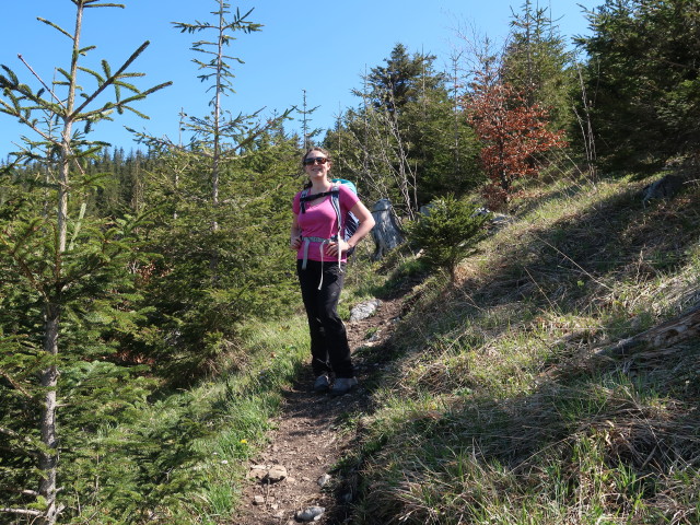 Sabine zwischen Vorderer Salmhütte und Hochsalm