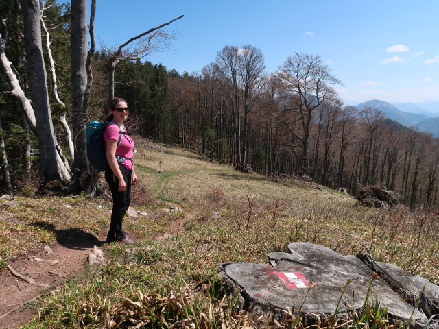 Sabine zwischen Hochsalm und Gezimmerter Brunnen