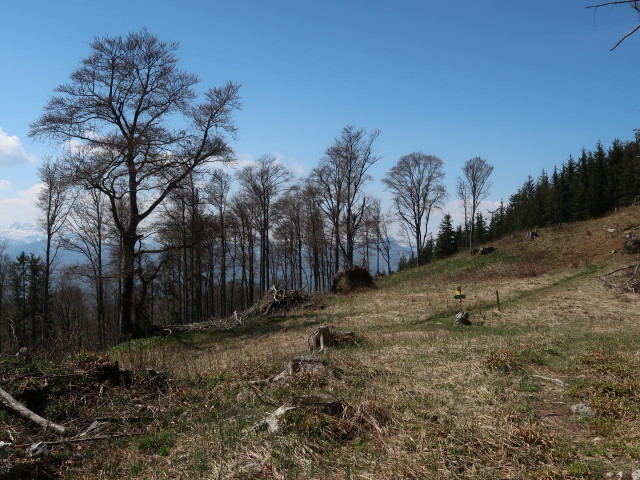 zwischen Hochsalm und Gezimmerter Brunnen