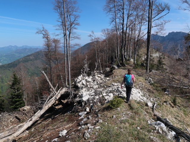 Sabine zwischen Raukogel und Hollerberg