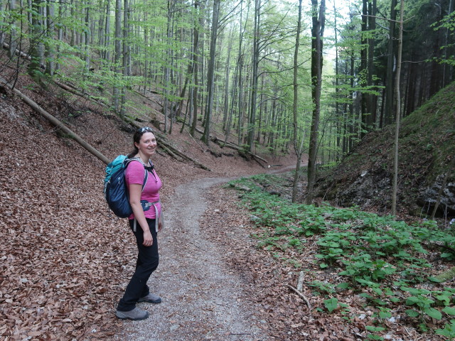 Sabine zwischen Sattelhalt und In der Krems